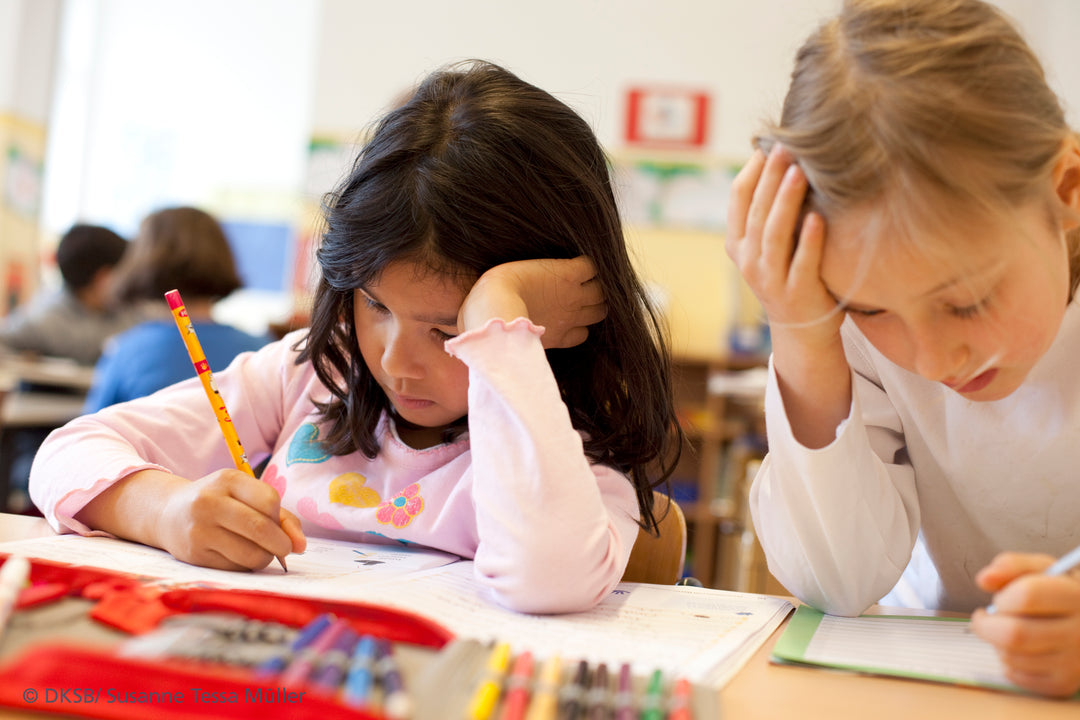 DER DEUTSCHE KINDERSCHUTZBUND