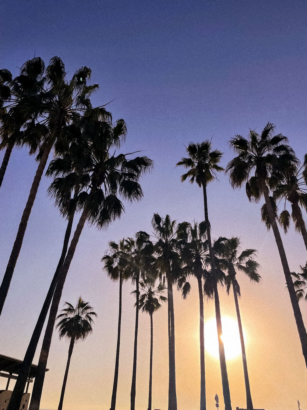 KOLLEKTIONSSHOOTING IN LA