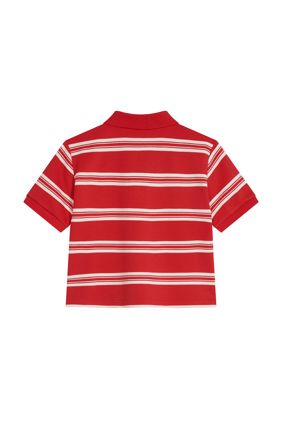 Cropped Knit Poloshirt Freisteller, Rückenansicht, rot-weiß Streifenstrick, kurze Cropped-Länge