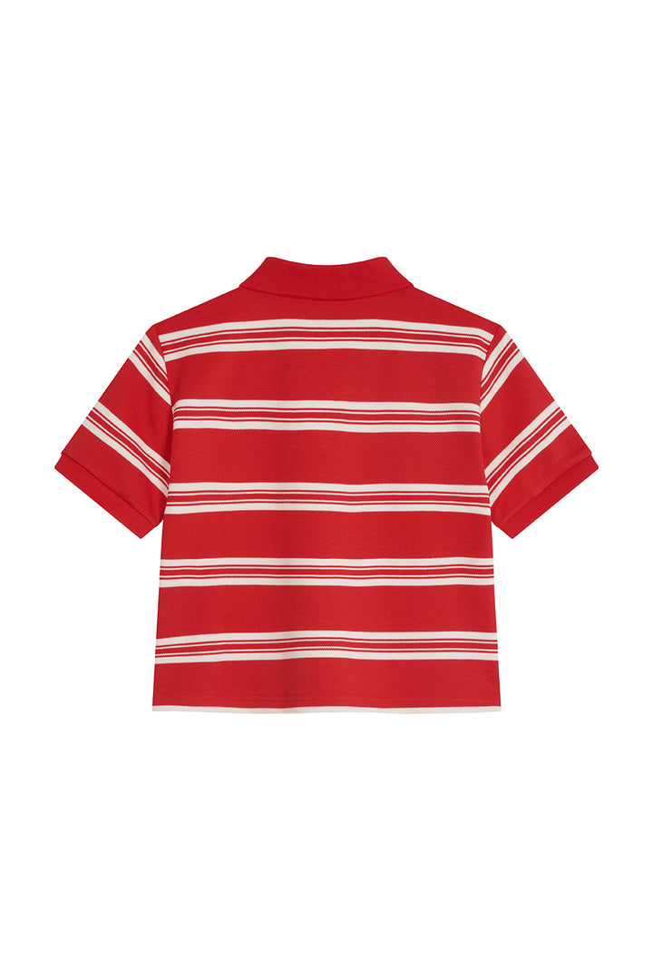 Cropped Knit Poloshirt Freisteller, Rückenansicht, rot-weiß Streifenstrick, kurze Cropped-Länge