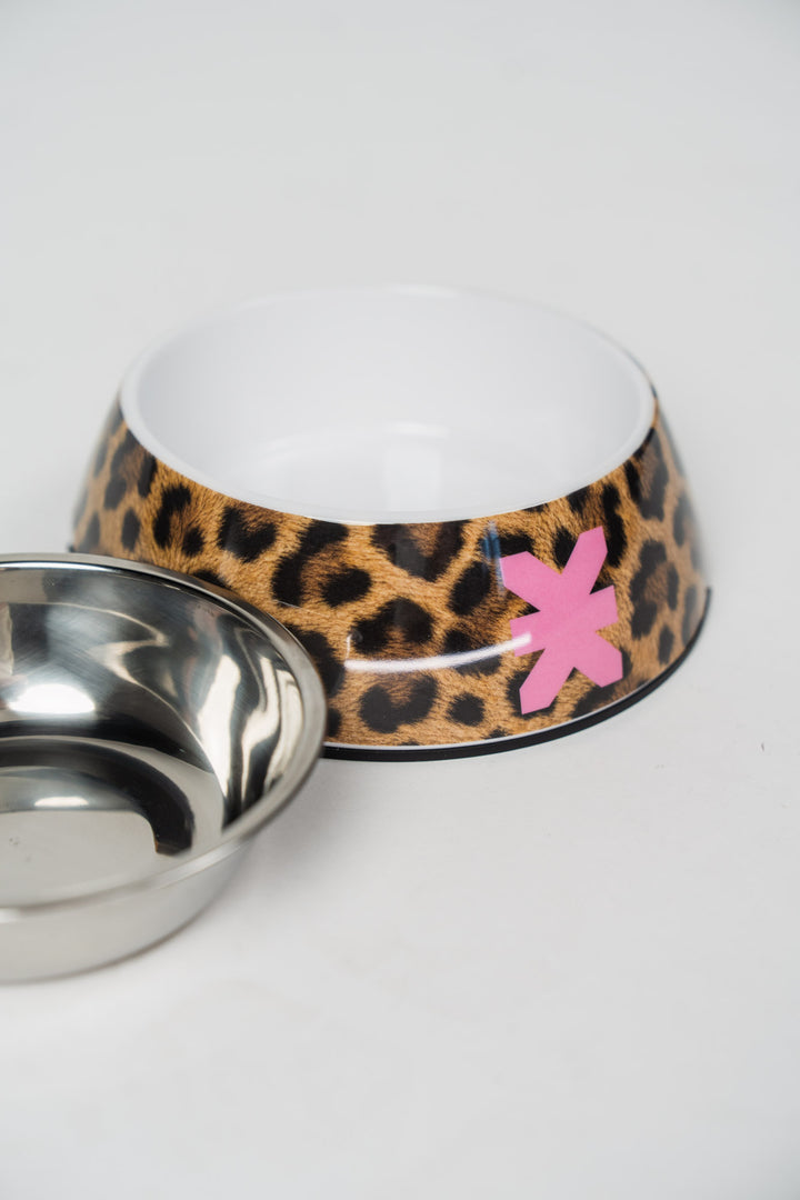 Pet Bowl Leo