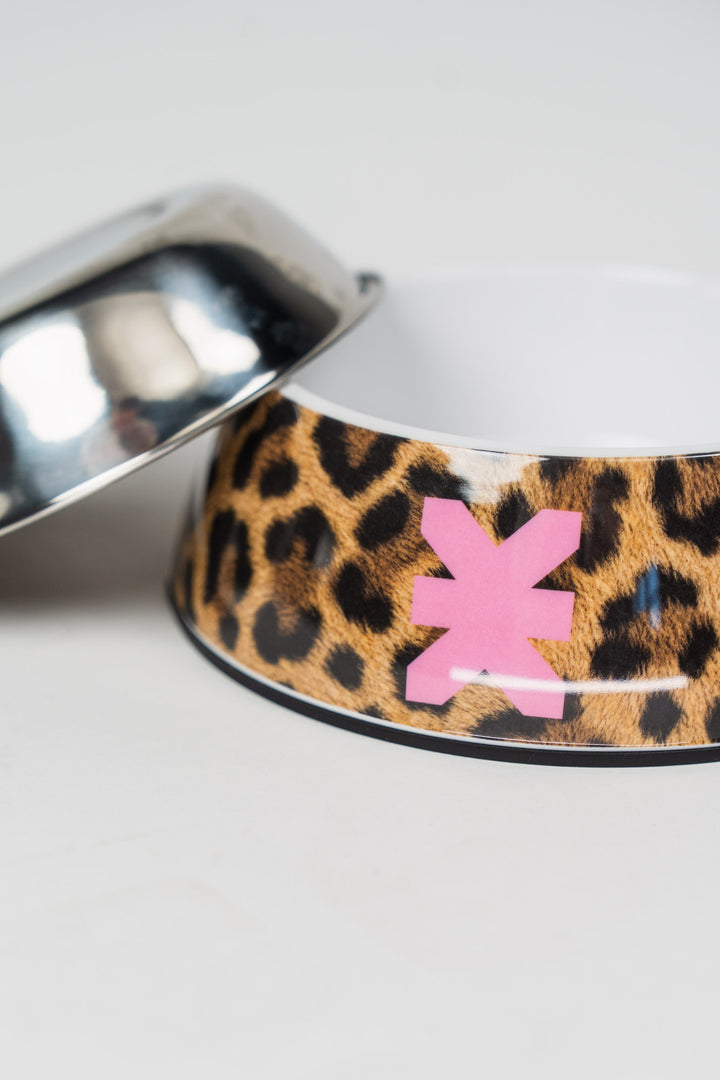 Pet Bowl Leo