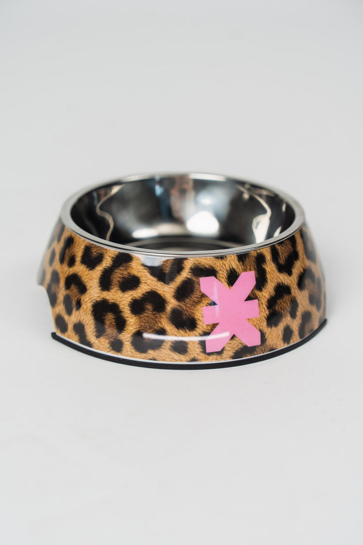 Pet Bowl Leo